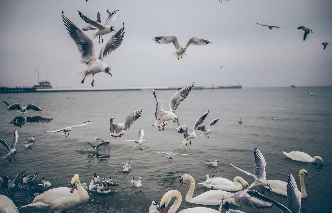 A colorful shelf of cartoon collectibles arranged with badges, boxes, and figures